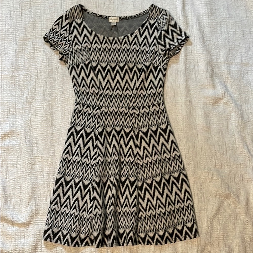 Dynamite Black and White Fit and Flare Mini Dress